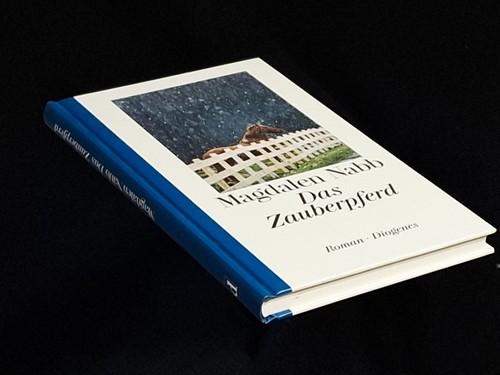 Das zauberpferd roman - das,